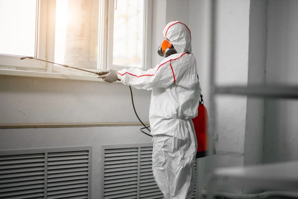 Professional mold remediation services in Fenwick, MI
